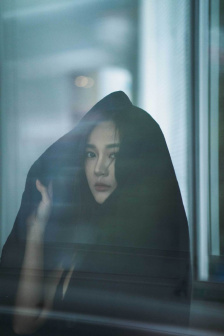 《菊内留香》TXL金银花露原文